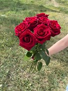 7 красных роз Эквадор 60 см