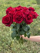11 красных роз Эквадор, 60 см